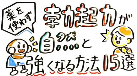 亀頭 鍛える|論文で分かる！勃起力を高める科学的トレーニング方。